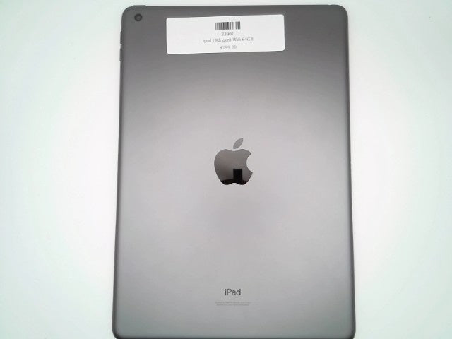 ipad (9th gen)